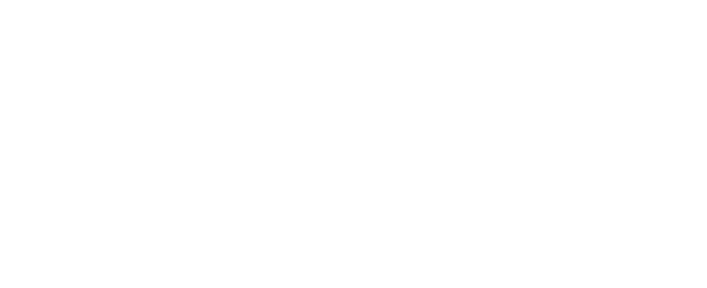 Netlify logo in white